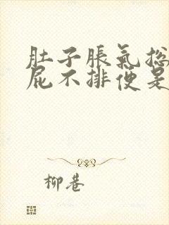 肚子胀气总是放屁不排便是怎么回事