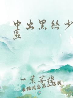 中出黑丝少妇一区