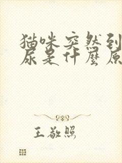 猫咪突然到处乱尿是什么原因