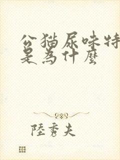 公猫尿味特别大是为什么