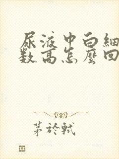 尿液中白细胞计数高怎么回事