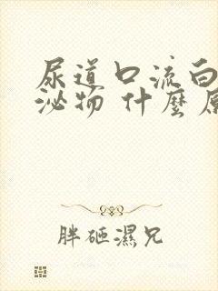 尿道口流白色分泌物 什么原因