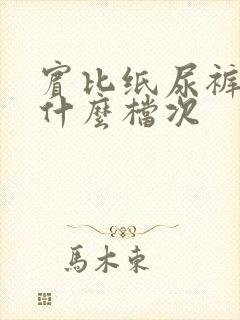 宾比纸尿裤属于什么档次