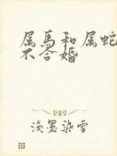 属马和属蛇的合不合婚