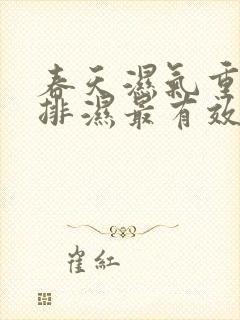 春天湿气重怎么排湿最有效