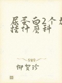 尿蛋白2个加号挂什么科