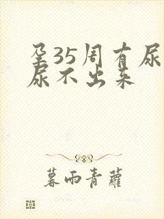 孕35周有尿意尿不出来