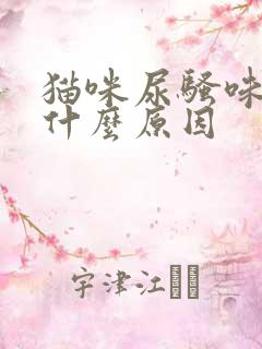 猫咪尿骚味重是什么原因