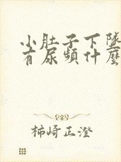 小肚子下坠胀痛有尿频什么原因