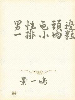 男性龟头边缘有一排小肉粒