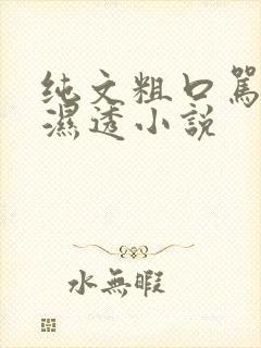 纯文粗口骂到你湿透小说