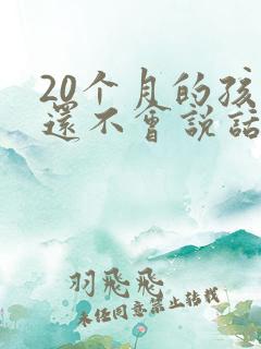 20个月的孩子还不会说话