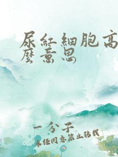 尿红细胞高是什么意思