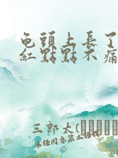 龟头上长了好多红点点不痛不痒