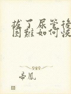 拔了尿管后排尿困难如何恢复