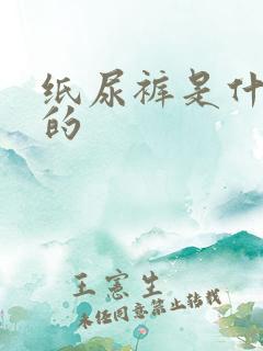 纸尿裤是什么样的