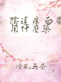 阴道痒 白带黄用什么药