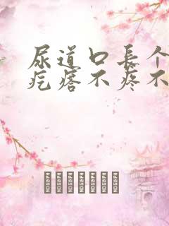 尿道口长个小肉疙瘩不疼不痒