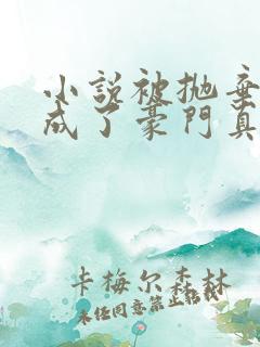 小说被抛弃后她成了豪门真千金全文阅读