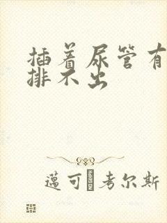 插着尿管有尿意排不出