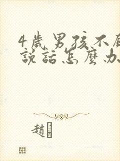 4岁男孩不愿意说话怎么办