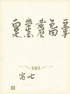 白带黄色豆腐渣是怎么回事