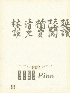 林清榆陆延的小说免费阅读
