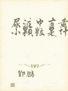 尿液中有黄色的小颗粒是什么原因