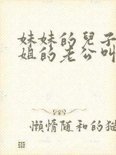 妹妹的儿子叫姐姐的老公叫什么?