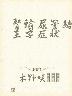 肾输尿管结石的主要症状