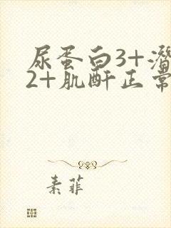 尿蛋白3+潜血2+肌酐正常