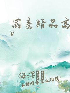 国产精品高清av