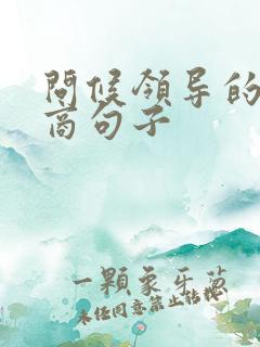 问候领导的高情商句子