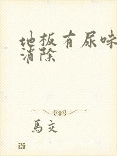 地板有尿味怎么消除