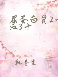 尿蛋白质2十隐血3十