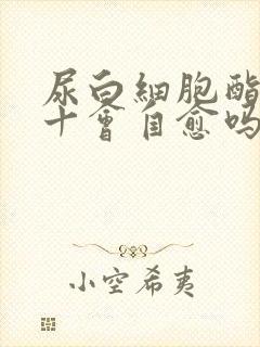 尿白细胞酯酶1十会自愈吗