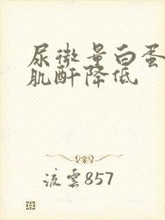 尿微量白蛋白尿肌酐降低