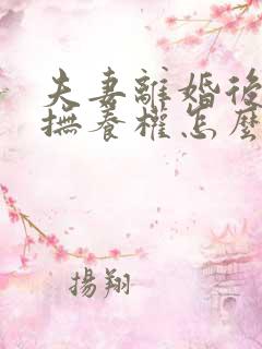 夫妻离婚后孩子抚养权怎么判