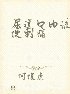 尿道口内流脓小便刺痛