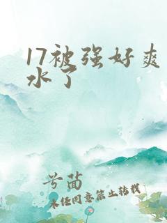 17被强好爽流水了