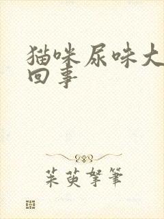 猫咪尿味大怎么回事