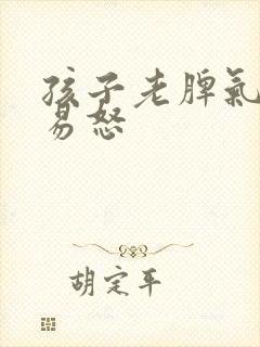 孩子老脾气暴躁易怒