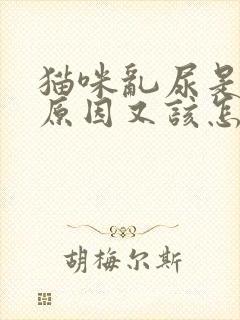 猫咪乱尿是什么原因又该怎样解决