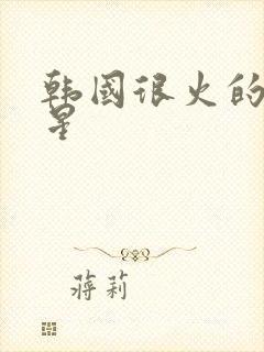 韩国很火的女明星