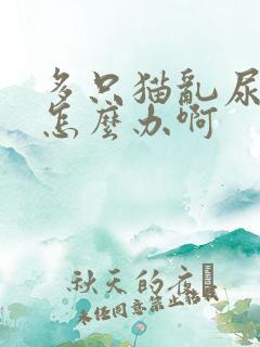 多只猫乱尿沙发怎么办啊