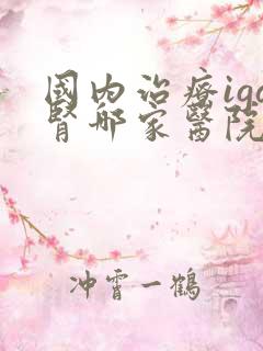 国内治疗iga肾哪家医院好