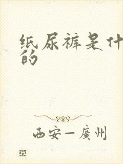 纸尿裤是什么样的