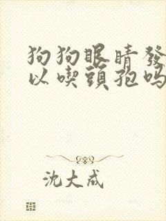 狗狗眼睛发炎可以吃头孢吗