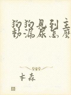 狗狗见到主人激动漏尿怎么办