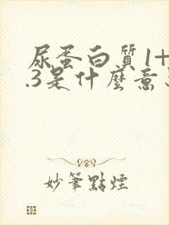 尿蛋白质1+0.3是什么意思